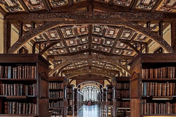 La Biblioteca dei miei diciotto anni…