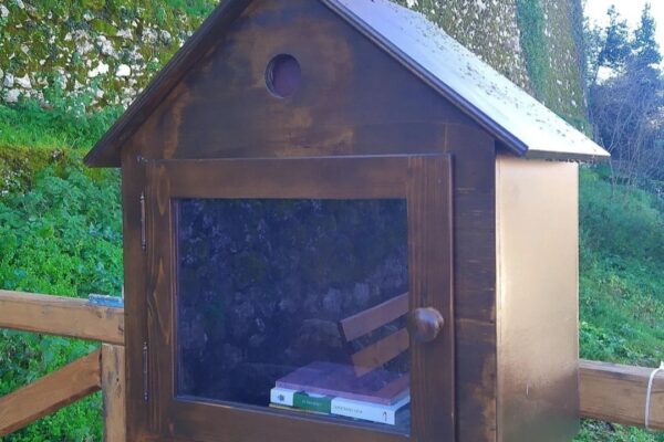 Little free library: take a book, leave a book!